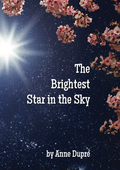 Brightest Star Sky