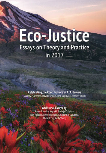 Eco-Justice Essays 2017